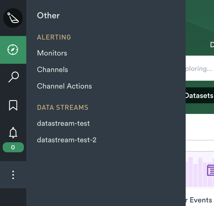 Left rail open, showing the Other tab and a list of data stream datasets in the Data Streams section.