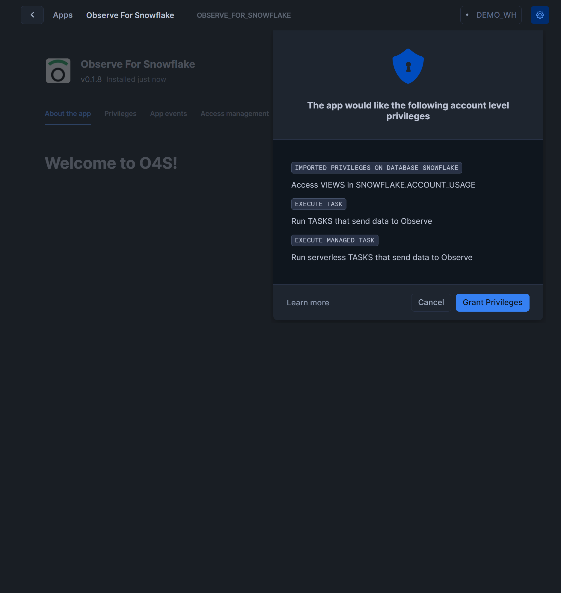 Observe For Snowflake - Configure Requested Permissions