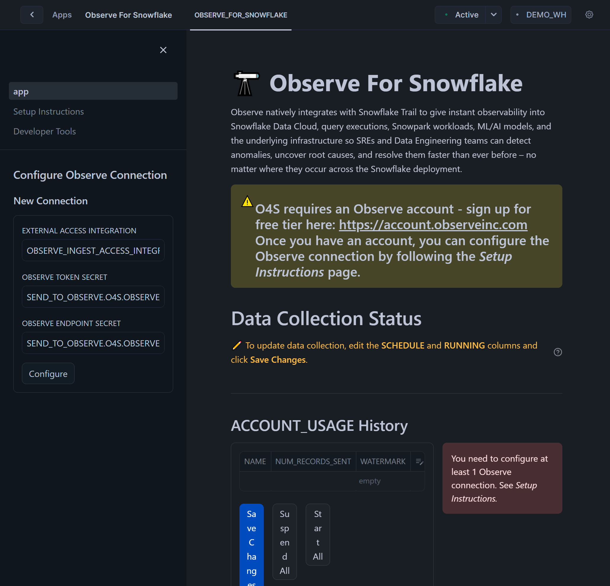 Observe For Snowflake - Supply EAI and Secrets
